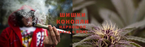 каннабис Аркадак