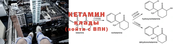 ешки Арсеньев