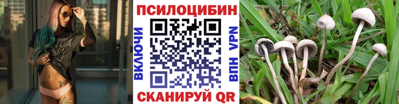 площадка официальный сайт  Спасск  Галлюциногенные грибы GOLDEN TEACHER 